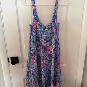 Lilly Pulitzer Loro Dress XL EUC
